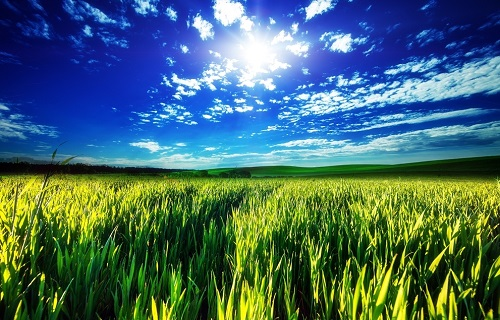 1671600468209181.png image.png