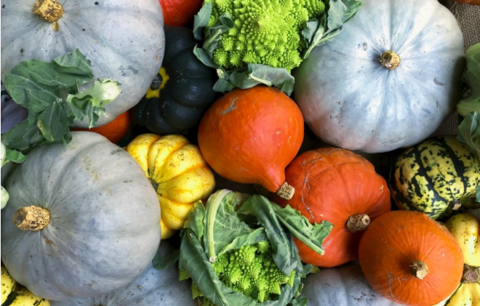 農(nóng)藥殘留測定儀是通過什么原理檢測的？