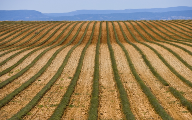 （國產(chǎn)）土壤養(yǎng)分檢測儀哪個牌子好？高智能土壤養(yǎng)分檢測儀哪家好？
