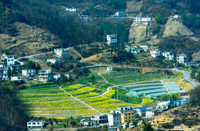 土壤墑情監(jiān)測(cè)系統(tǒng)在哪兒建站都行嗎？土壤墑情監(jiān)測(cè)系統(tǒng)的建站原則和選址要求